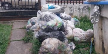 TRUJILLO | Vecinos denuncian proliferación de moscas y gusanos por acumulación de basura en Las Acacias