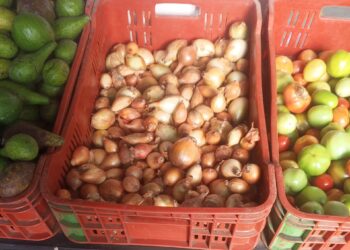 Aumentan precios de hortalizas y verduras en Boconó