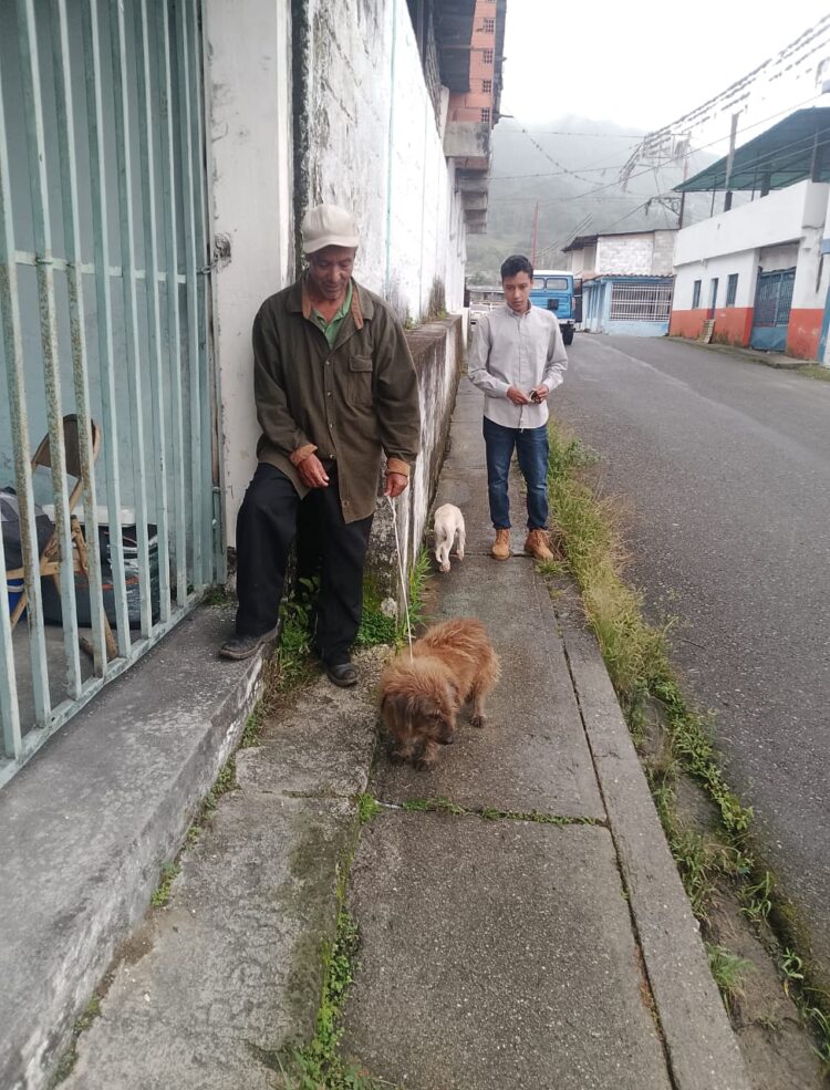 Misión Nevado realiza tres jornadas de atención médico veterinaria en Boconó