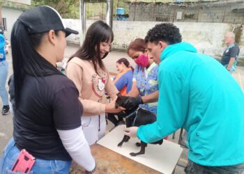 Misión Nevado realiza tres jornadas de atención médico veterinaria en Boconó