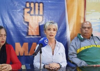 MAS: Abstención y división opositora propiciaron triunfo electoral de una minoría