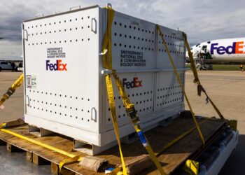 Trump suspende la excepción de aranceles a envíos comerciales de bajo costo a nivel global