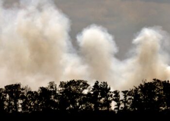 Cruz Roja alerta de que la actual ola de calor e incendios en Europa es «solo el comienzo»
