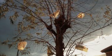 El mundo genera 220 millones de toneladas de plástico y recicla menos del 10 %