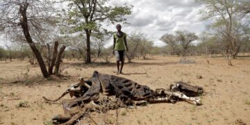 Desde 2023 se han registrado periodos de sequía más dañinos y generalizados, según estudio