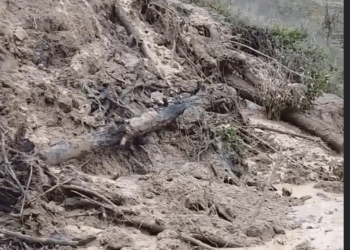 Boconó | Dos nuevos deslizamientos de tierra obstaculizan una de las vías de acceso al municipio