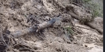 Boconó | Dos nuevos deslizamientos de tierra obstaculizan una de las vías de acceso al municipio