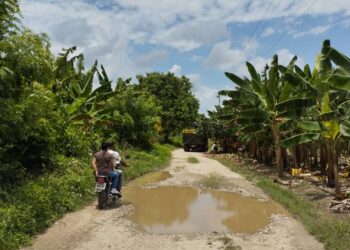 Productores agrícolas de asentamientos El Ciénego y San Valentino de La Ceiba solicitan reparación de vías