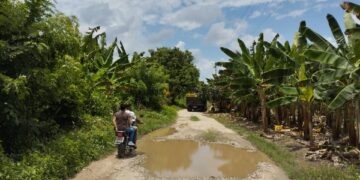 Productores agrícolas de asentamientos El Ciénego y San Valentino de La Ceiba solicitan reparación de vías