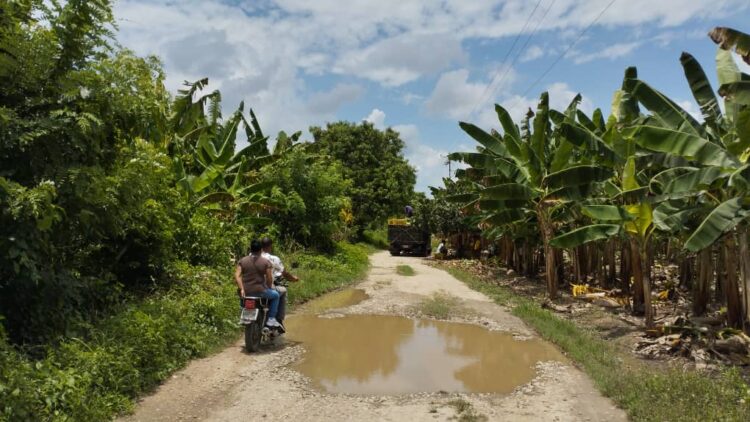 La vía agrícola que conduce al asentamiento El Ciénego, necesita con urgencia mantenimiento.