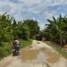 Productores agrícolas de asentamientos El Ciénego y San Valentino de La Ceiba solicitan reparación de vías
