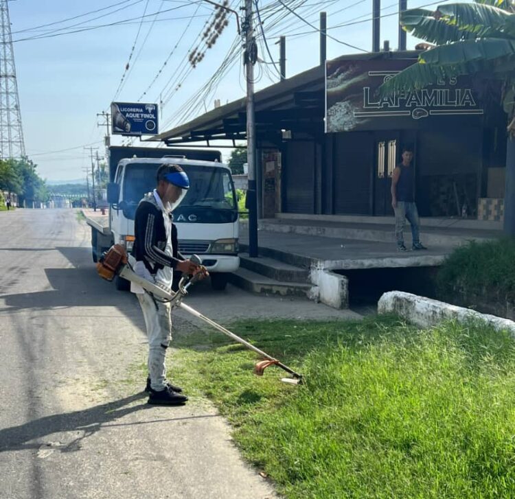 En los operativos se desmalezan los sectores.