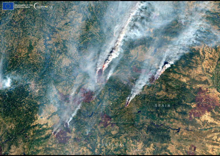 Un total de 391.581 hectáreas se han quemado en España en lo que va de este 2025 en 230 incendios detectados en varios puntos del país, según datos actualizados este miércoles por el Sistema Europeo de Información sobre Incendios Forestales (EFFIS, por sus siglas en inglés). EFE/ Unión Europea imágenes Sentinel-2 de Copernicus // SOLO USO EDITORIAL/SOLO DISPONIBLE PARA ILUSTRAR LA NOTICIA QUE ACOMPAÑA (CRÉDITO OBLIGATORIO)