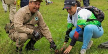 Más de 4000 árboles fueron sembrados en jornada de reforestación en Mérida