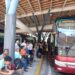 Tromerca anuncia la ampliación de su ruta Ejido-Caracas a seis días de servicio