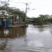 Orinoco a centímetros de la alerta roja en Delta Amacuro: 57 familias incomunicadas
