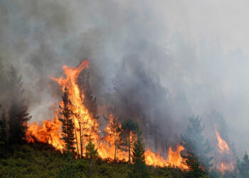 Los incendios baten récords en Europa, con la península ibérica como su principal víctima