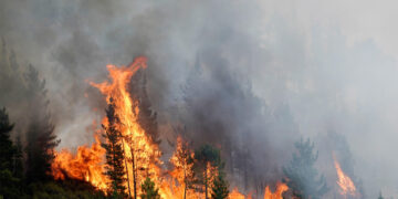 Los incendios baten récords en Europa, con la península ibérica como su principal víctima