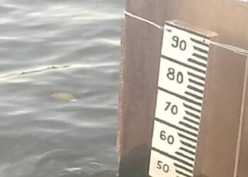 Río Orinoco comenzó a descender tras alerta roja en Amazonas y Bolívar