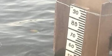 Río Orinoco comenzó a descender tras alerta roja en Amazonas y Bolívar