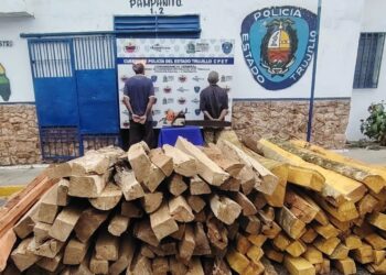 Policía del estado detiene sujetos por desforestación de especies protegidas en Pampanito