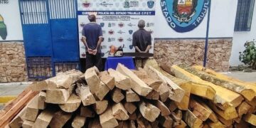 Policía del estado detiene sujetos por desforestación de especies protegidas en Pampanito