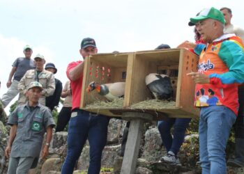 En Táchira masifican biodiversidad y refuerzan ecosistemas con liberación de aves
