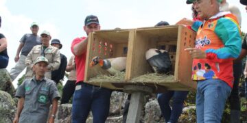 En Táchira masifican biodiversidad y refuerzan ecosistemas con liberación de aves