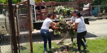 Trujillo | Lluvia con fuertes vientos ocasionaron proliferación de escombros variados en Junín
