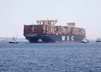 La ONU pide a los gobiernos medidas para mitigar aumento del coste del transporte marítimo