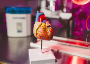 Científicos de EE.UU. crean una IA que busca prevenir infartos oyendo los latidos