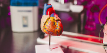 Científicos de EE.UU. crean una IA que busca prevenir infartos oyendo los latidos