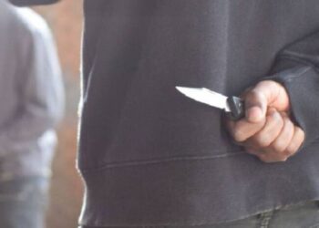 Sectores de Bella Vista y Bajada del río en la mira de delincuentes