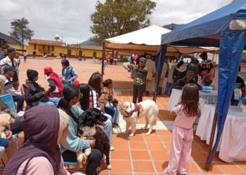 Gobierno de Mérida conmemora declaratoria del perro Mucuchíes como raza autóctona con jornada veterinaria
