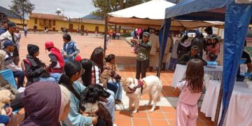 Gobierno de Mérida conmemora declaratoria del perro Mucuchíes como raza autóctona con jornada veterinaria