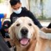 Mérida | Despliegan jornada veterinaria en Arapuey