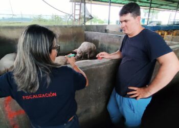 Sunagro inicia en Mérida el Plan Proteína Porcina 2025