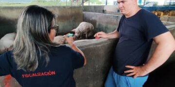 Sunagro inicia en Mérida el Plan Proteína Porcina 2025