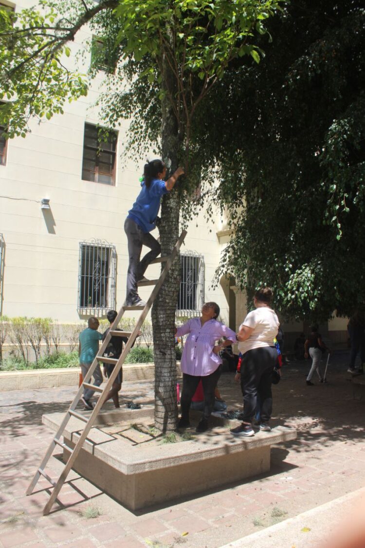 Inició plan de rehabilitación de la plaza Bolívar de Mérida