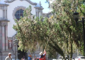 Inició plan de rehabilitación de la plaza Bolívar de Mérida