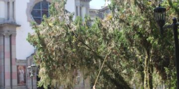 Inició plan de rehabilitación de la plaza Bolívar de Mérida