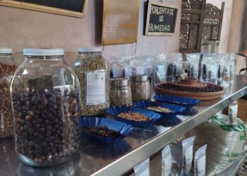 Trujillo | Promueven alianzas para elevar la calidad del café boconés y abrir nuevas rutas de comercialización