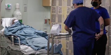 Eutanasias en Colombia se multiplican por 88 en 10 años y suman 352 en 2024, según estudio