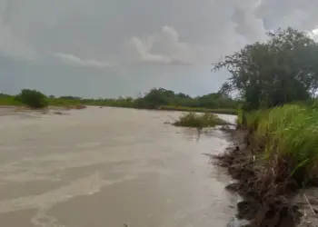 Desborde del río Santo Domingo ahoga la producción ganadera del municipio Obispos en Barinas