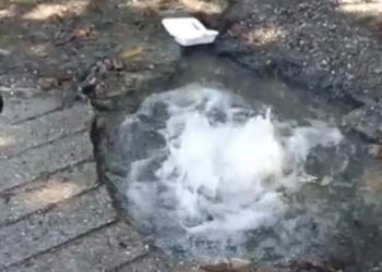 Solicitan reparar fugas de agua potable en la vía a La Laguna de los Cedros 