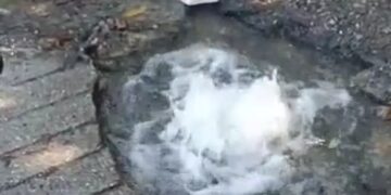 Solicitan reparar fugas de agua potable en la vía a La Laguna de los Cedros 