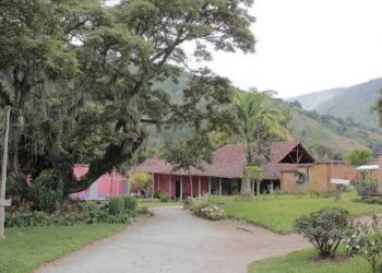 Museo Trapiche de Los Clavo invita a concurso por la canonización de José Gregorio Hernández 