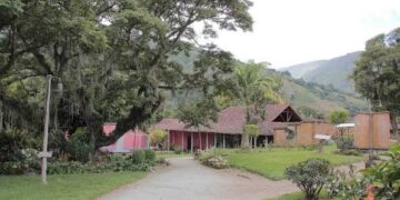 Museo Trapiche de Los Clavo invita a concurso por la canonización de José Gregorio Hernández 