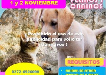 Invitan a jornada de esterilización para perros y gatos en Boconó