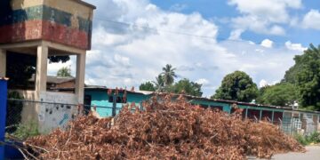 Escombros de árboles caídos a consecuencia de los últimos aguaceros siguen en plena calle